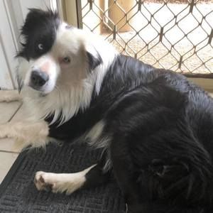 Meet your Posher, Jane